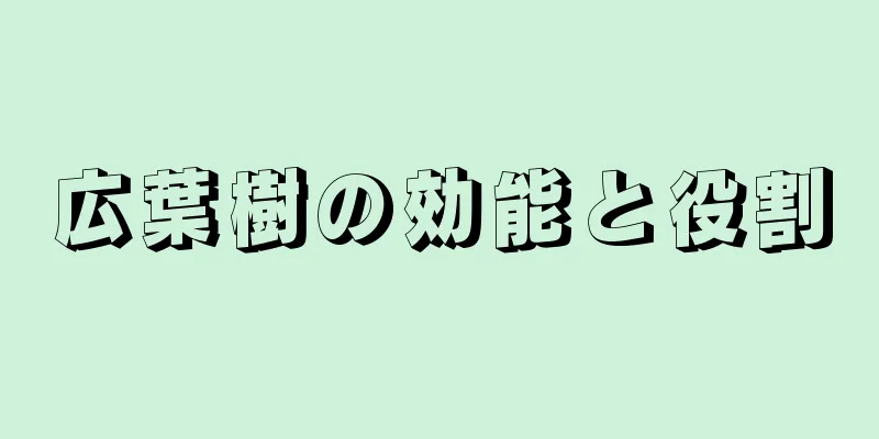 広葉樹の効能と役割