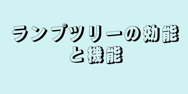 ランプツリーの効能と機能