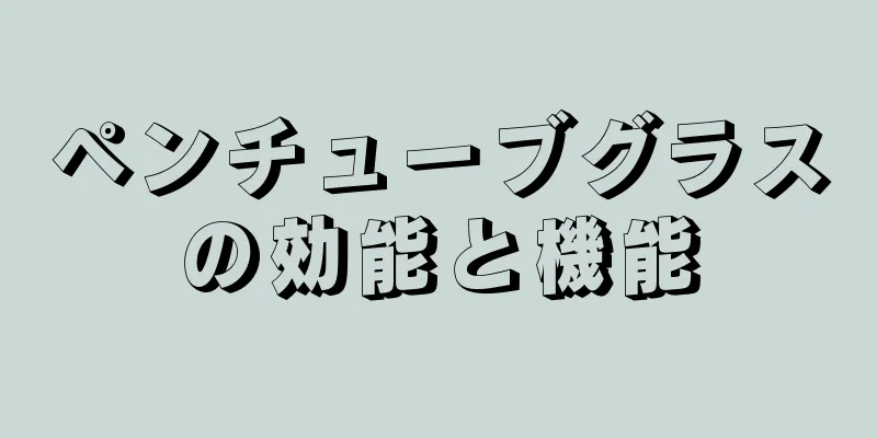 ペンチューブグラスの効能と機能