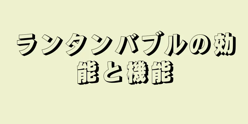 ランタンバブルの効能と機能