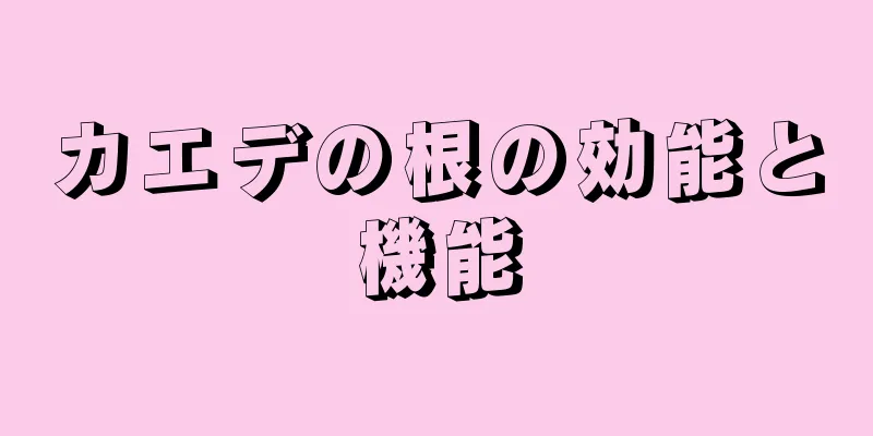 カエデの根の効能と機能