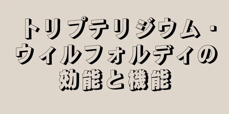 トリプテリジウム・ウィルフォルディの効能と機能