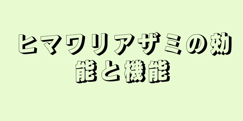 ヒマワリアザミの効能と機能