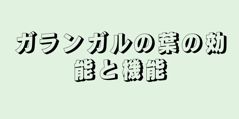 ガランガルの葉の効能と機能