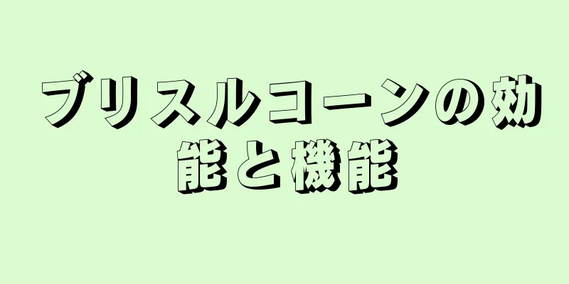 ブリスルコーンの効能と機能
