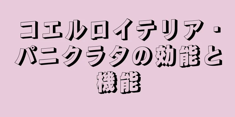 コエルロイテリア・パニクラタの効能と機能