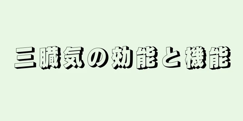三臓気の効能と機能