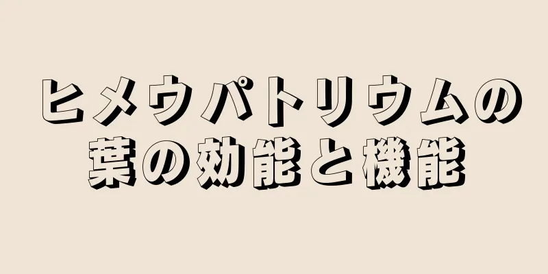 ヒメウパトリウムの葉の効能と機能