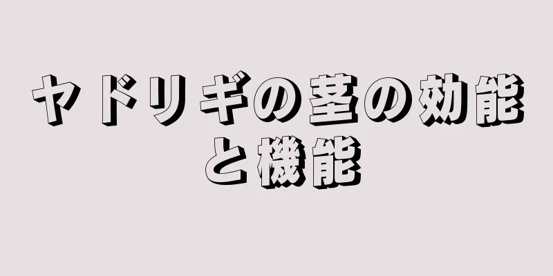 ヤドリギの茎の効能と機能
