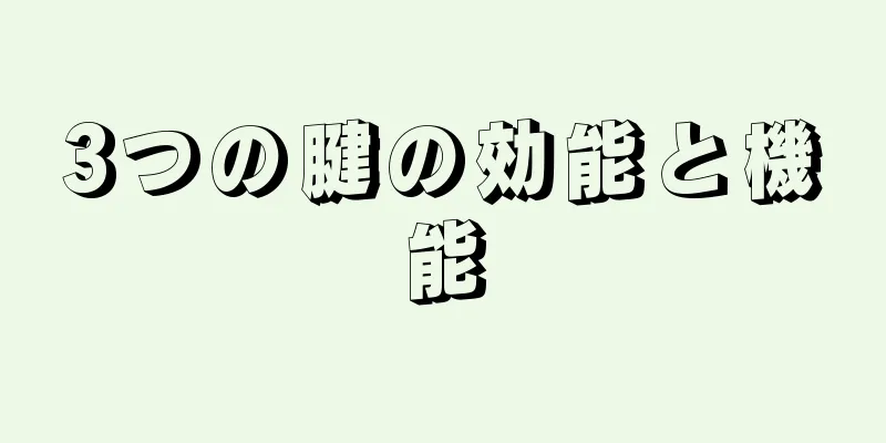 3つの腱の効能と機能