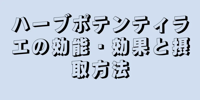 ハーブポテンティラエの効能・効果と摂取方法