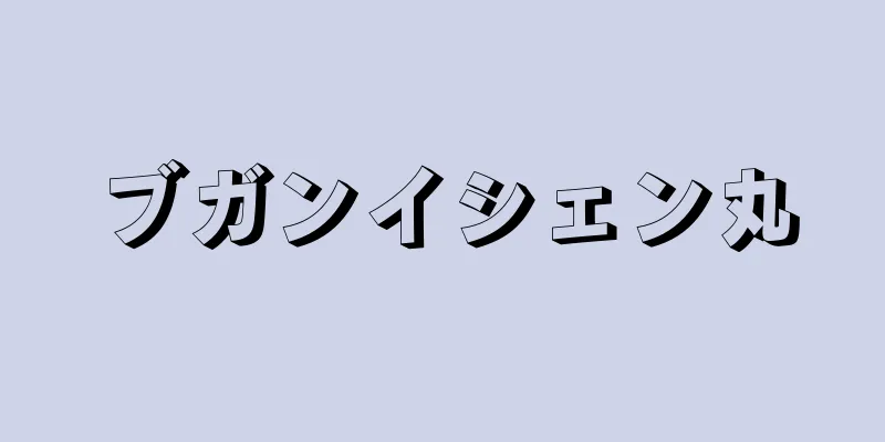 ブガンイシェン丸