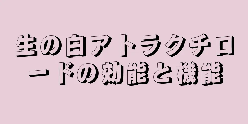 生の白アトラクチロードの効能と機能