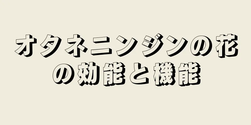 オタネニンジンの花の効能と機能