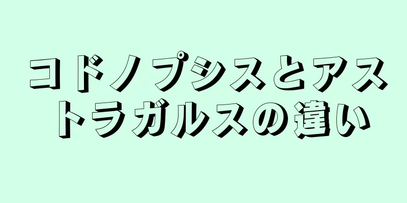 コドノプシスとアストラガルスの違い