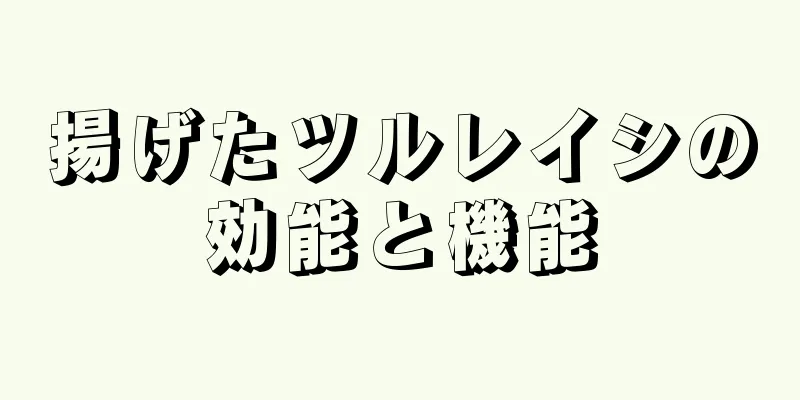 揚げたツルレイシの効能と機能