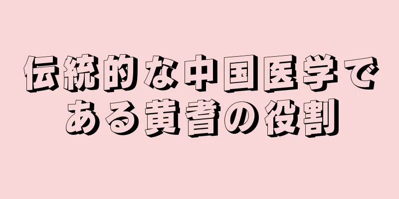 伝統的な中国医学である黄耆の役割