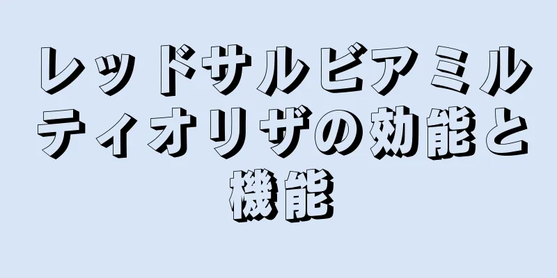 レッドサルビアミルティオリザの効能と機能
