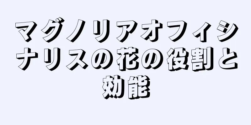 マグノリアオフィシナリスの花の役割と効能