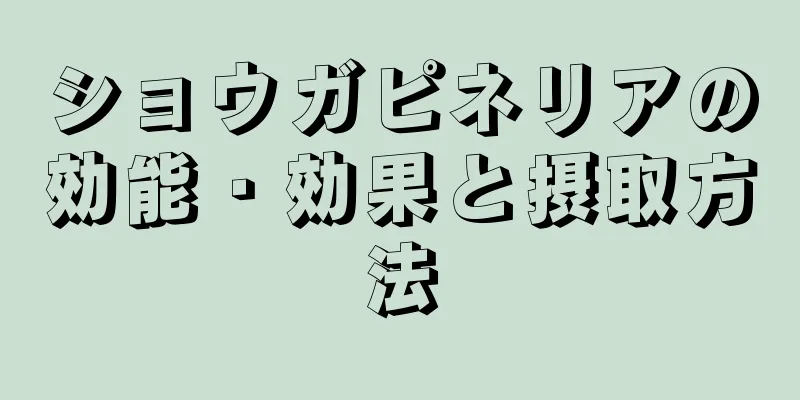 ショウガピネリアの効能・効果と摂取方法