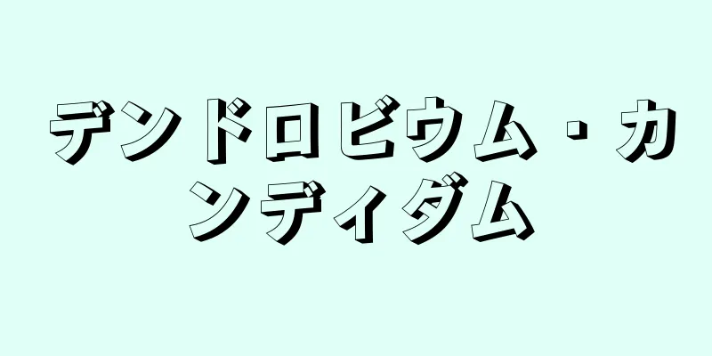 デンドロビウム・カンディダム