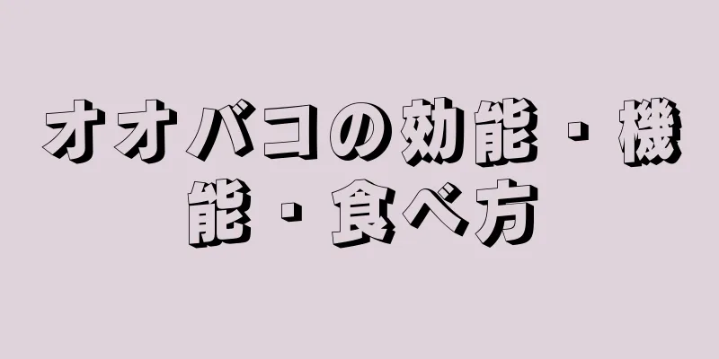 オオバコの効能・機能・食べ方