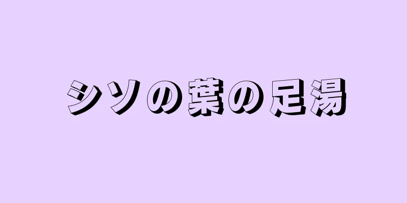 シソの葉の足湯