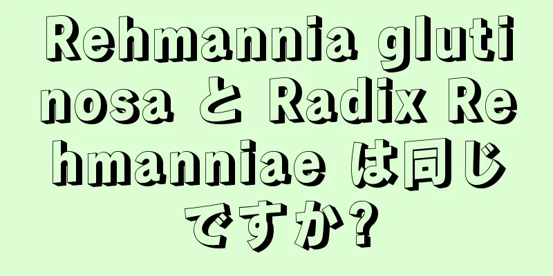 Rehmannia glutinosa と Radix Rehmanniae は同じですか?