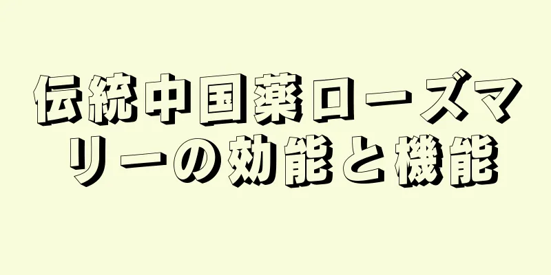 伝統中国薬ローズマリーの効能と機能
