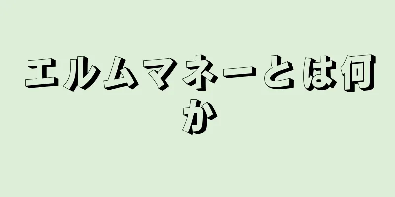 エルムマネーとは何か