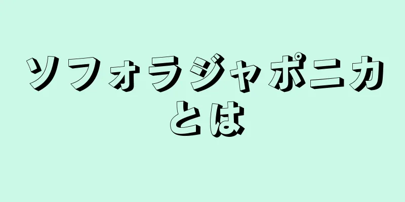 ソフォラジャポニカとは