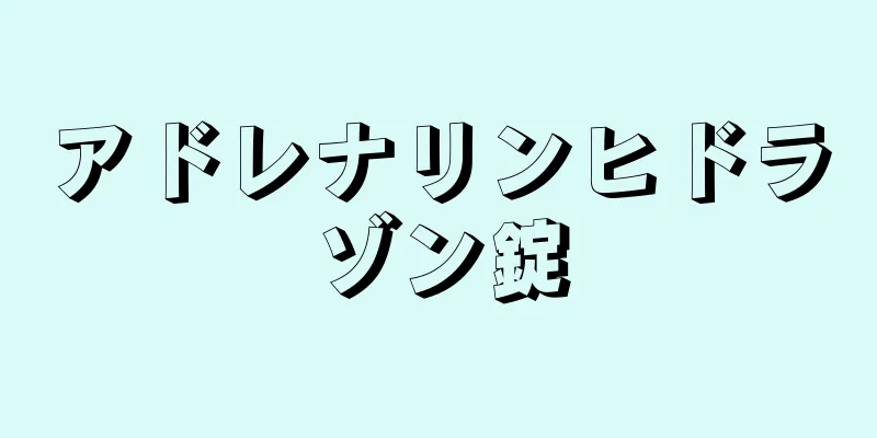 アドレナリンヒドラゾン錠