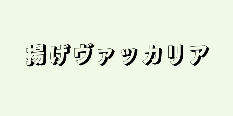 揚げヴァッカリア