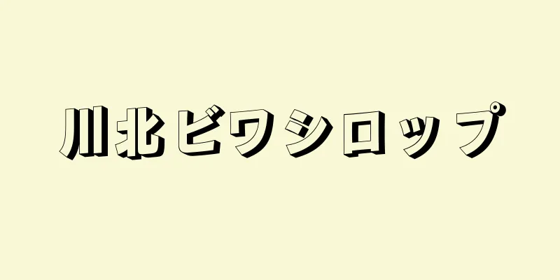 川北ビワシロップ