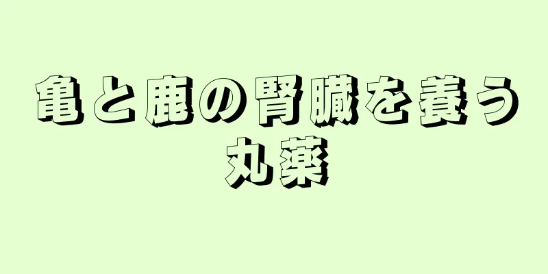 亀と鹿の腎臓を養う丸薬