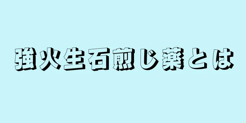 強火生石煎じ薬とは