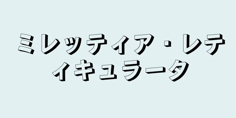 ミレッティア・レティキュラータ