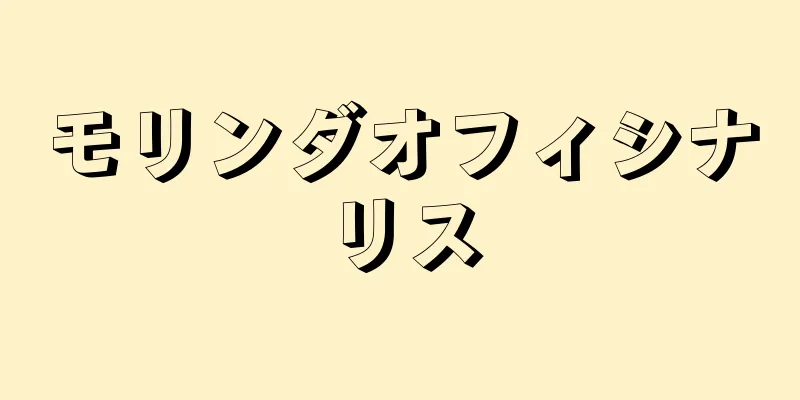 モリンダオフィシナリス