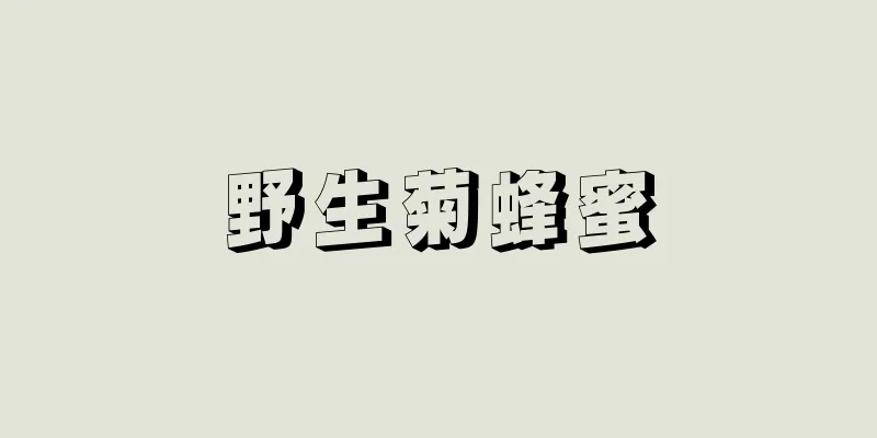 野生菊蜂蜜