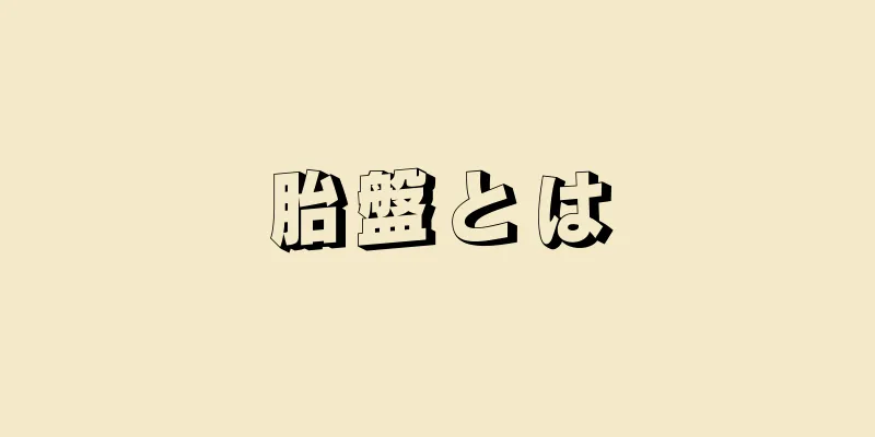 胎盤とは
