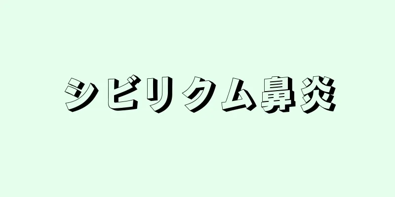 シビリクム鼻炎