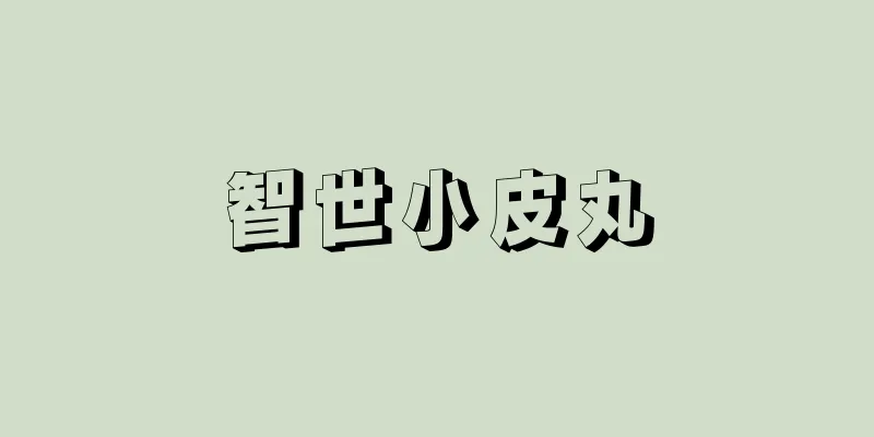 智世小皮丸