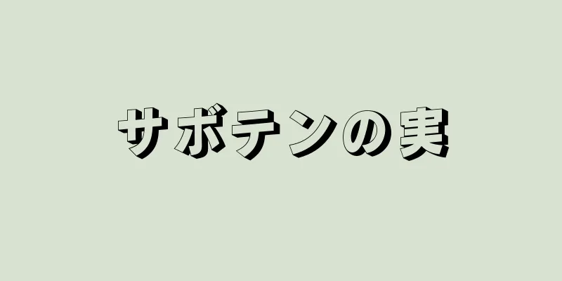 サボテンの実