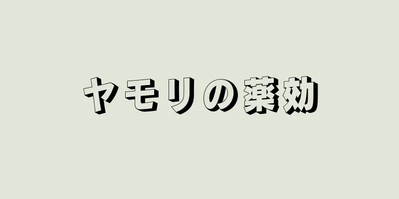 ヤモリの薬効