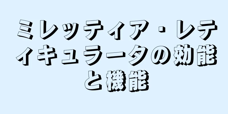 ミレッティア・レティキュラータの効能と機能