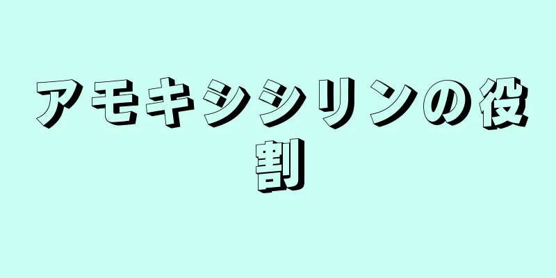 アモキシシリンの役割