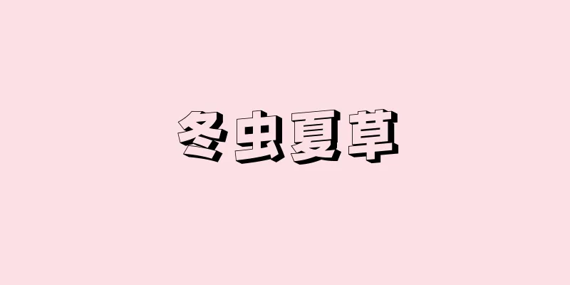 冬虫夏草