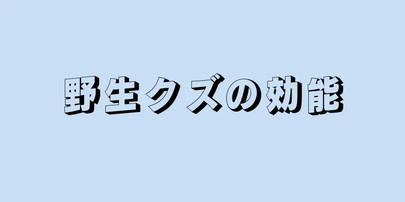 野生クズの効能
