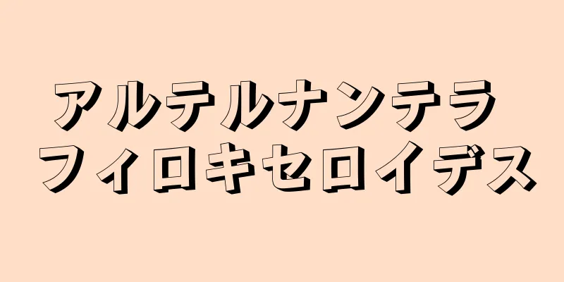 アルテルナンテラ フィロキセロイデス