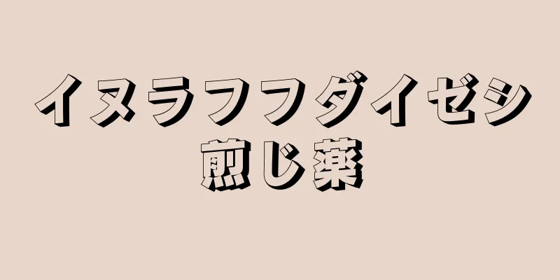 イヌラフフダイゼシ煎じ薬